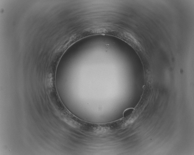 X0000069360549200605192101