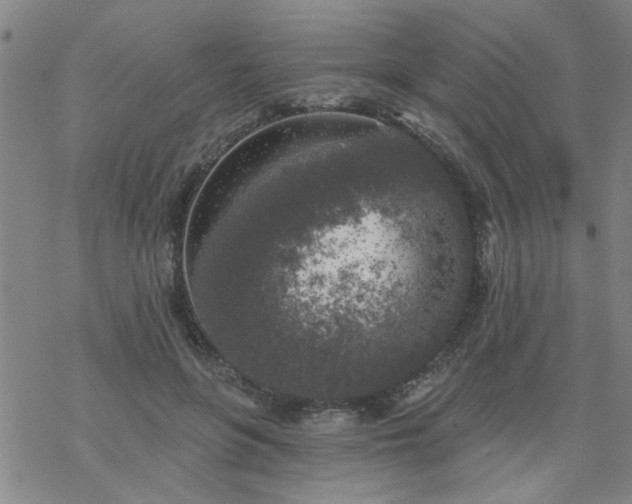 X0000069360551200605192101