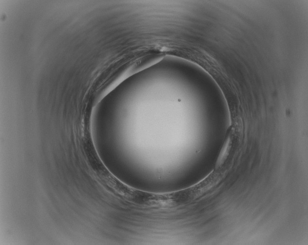 X0000069360552200605192101