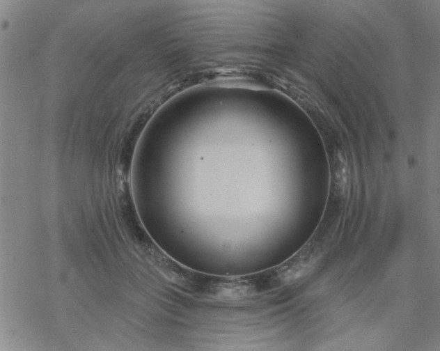 X0000069360555200605192101