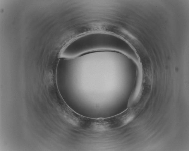 X0000069360556200605192101