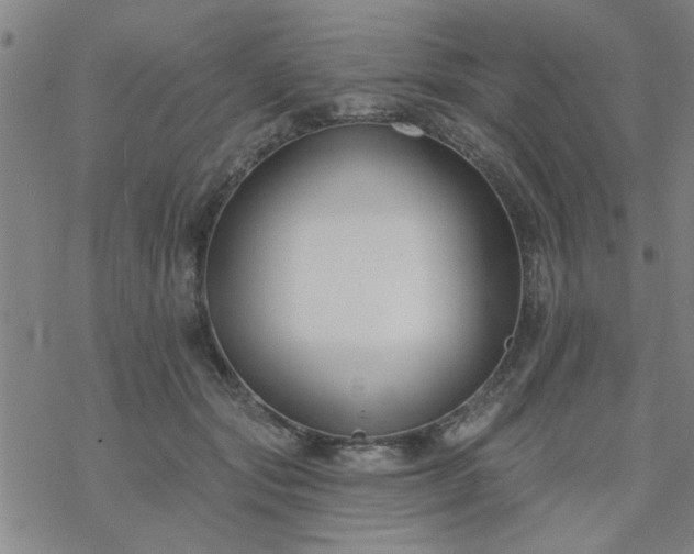 X0000069360557200605192101