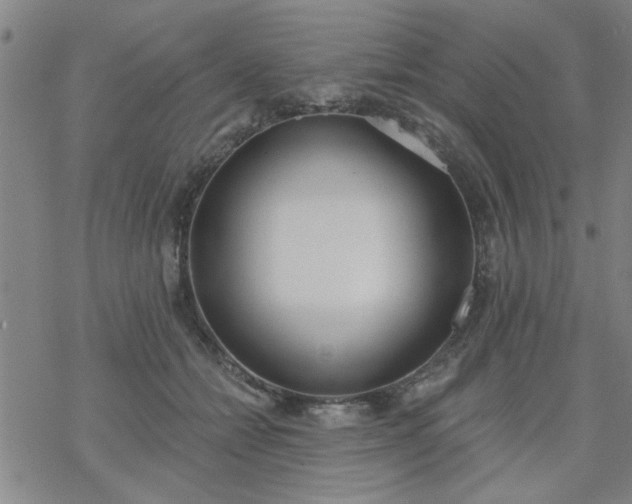 X0000069360558200605192101