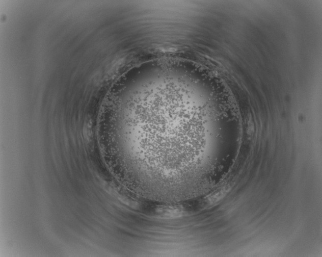 X0000069360559200605192101