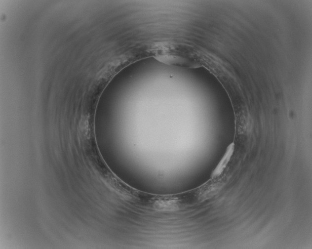 X0000069360560200605192101