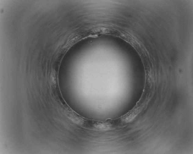 X0000069360561200605192101