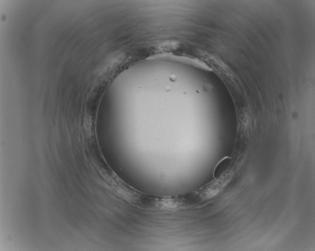 X0000069360565200605192101