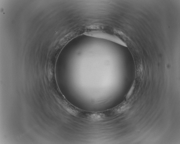 X0000069360566200605192101