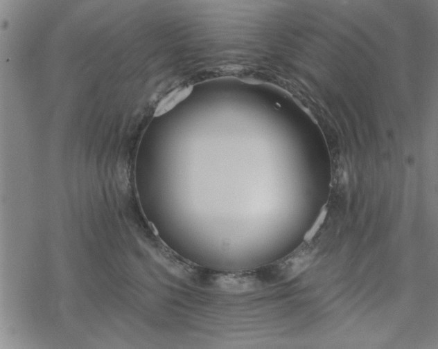 X0000069360568200605192101