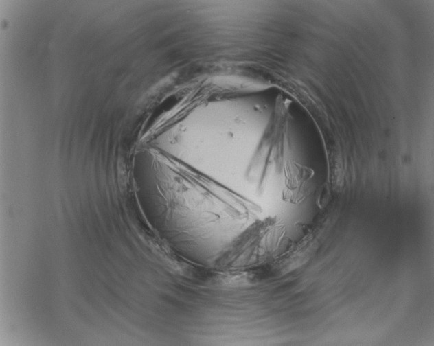 X0000069360569200605192101