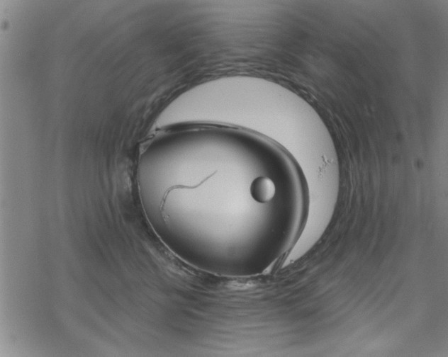 X0000069360570200605192101