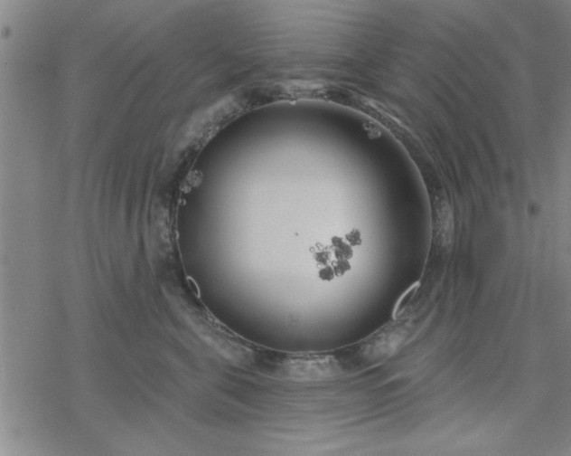 X0000069360571200605192101