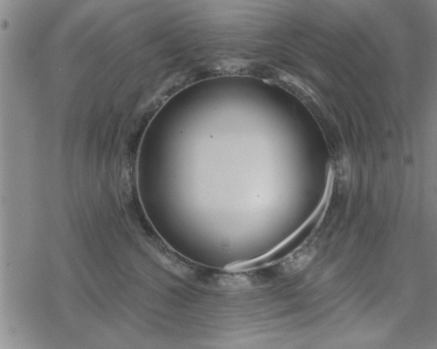 X0000069360572200605192101