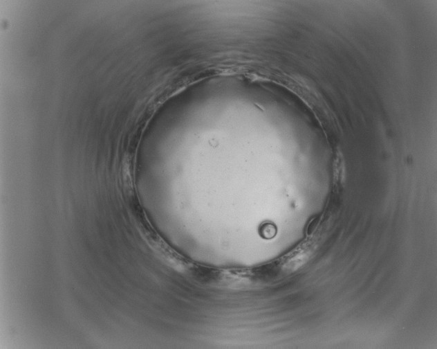 X0000069360573200605192101