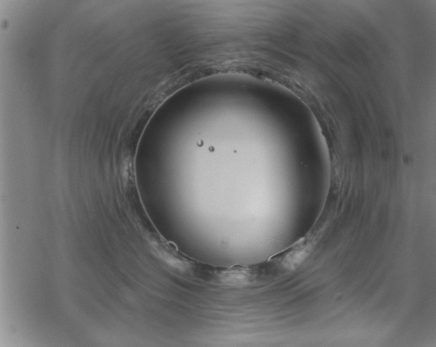 X0000069360574200605192101