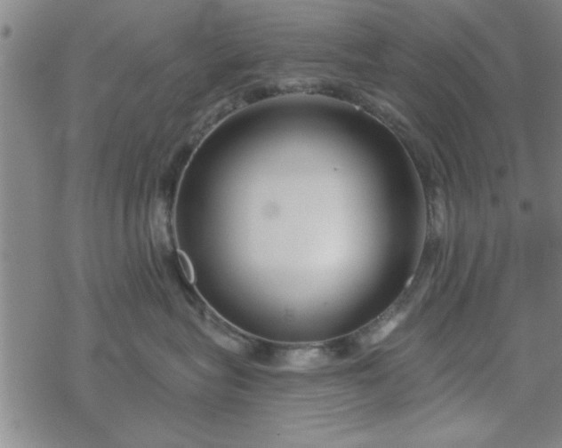 X0000069360575200605192101