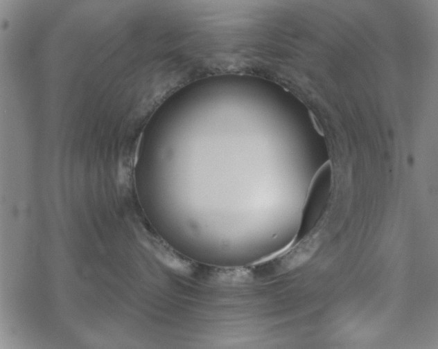 X0000069360576200605192101