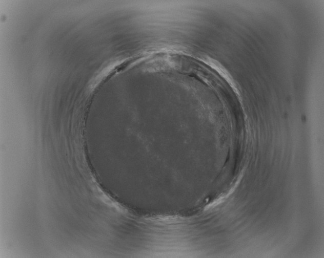 X0000069360577200605192100