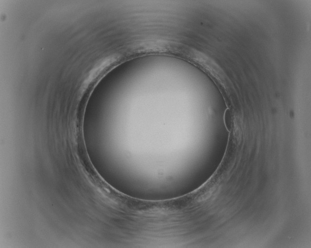 X0000069360578200605192100