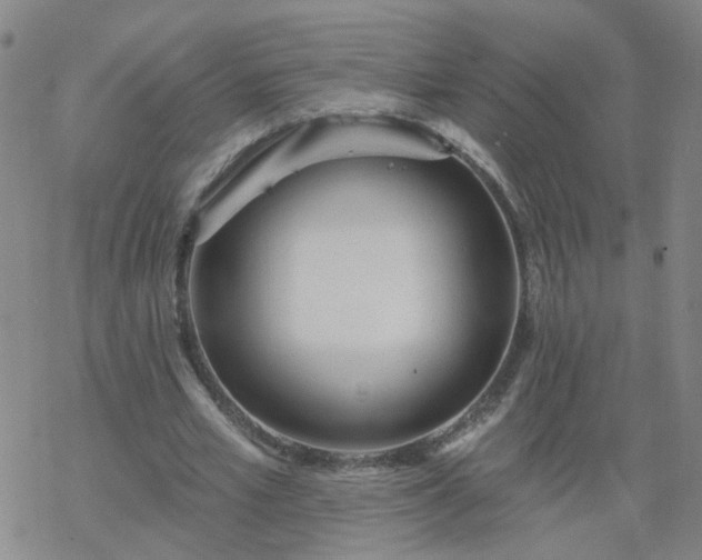 X0000069360581200605192100