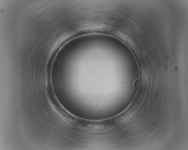 X0000069360582200605192100