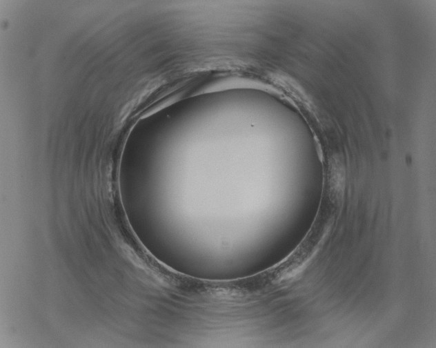 X0000069360585200605192100