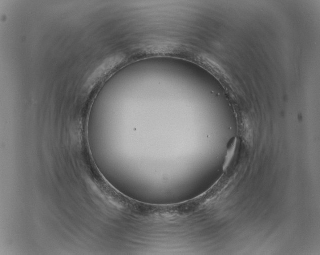 X0000069360586200605192100