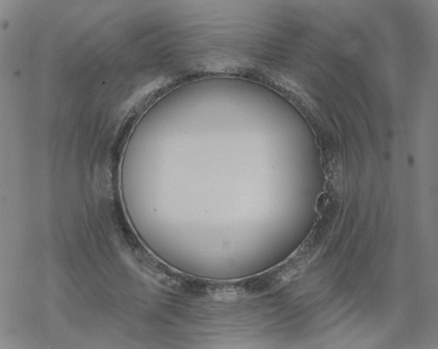 X0000069360587200605192100