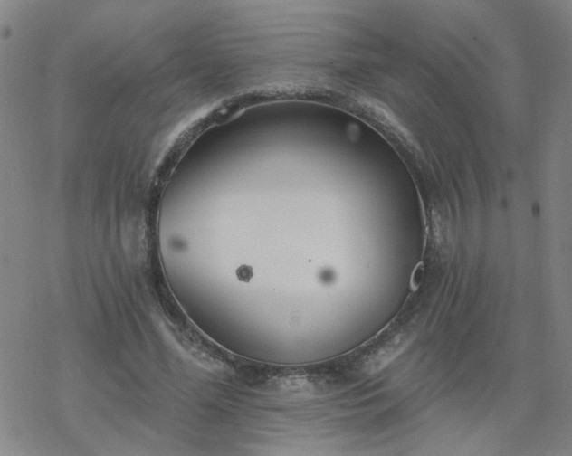 X0000069360588200605192100