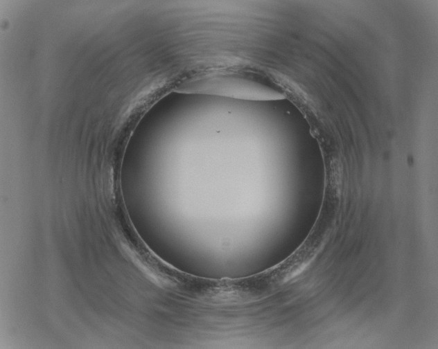 X0000069360589200605192100