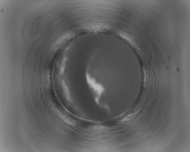 X0000069360590200605192100