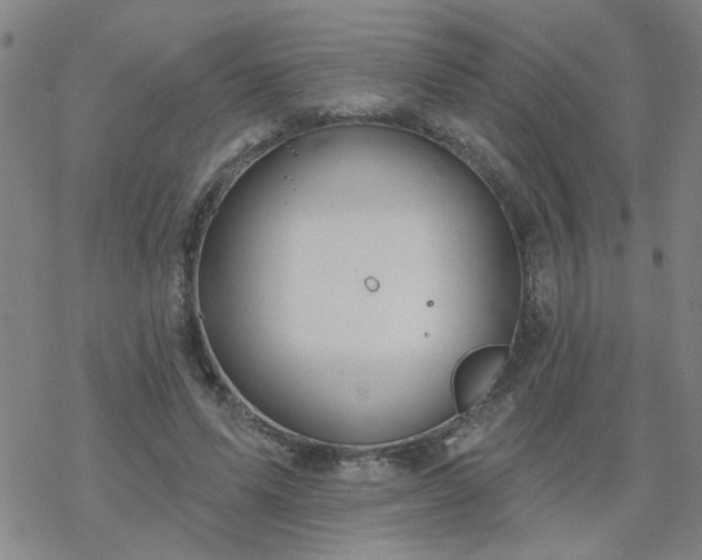 X0000069360591200605192100