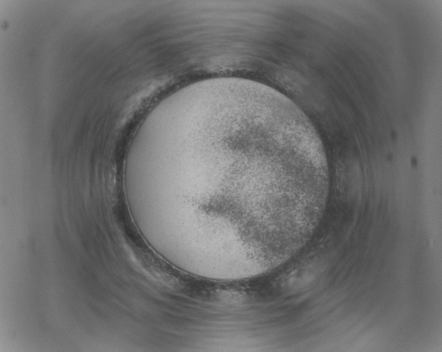 X0000069360592200605192100