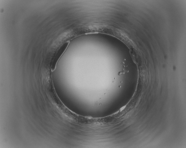 X0000069360593200605192100