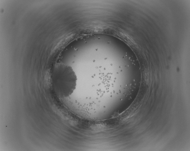 X0000069360594200605192100