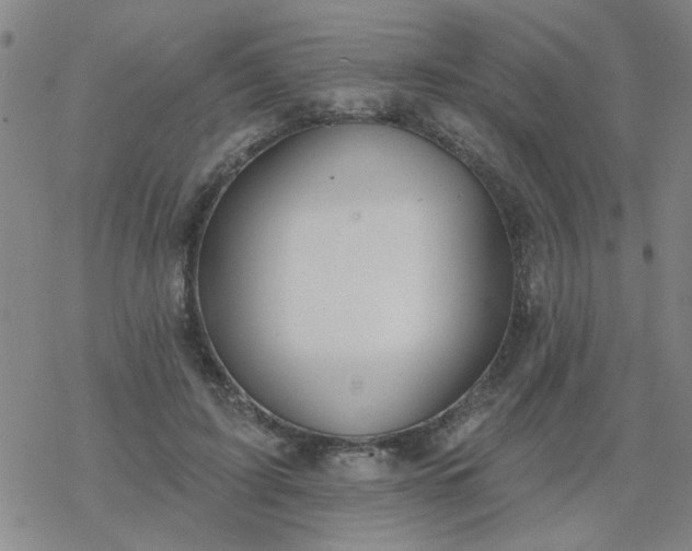 X0000069360595200605192100