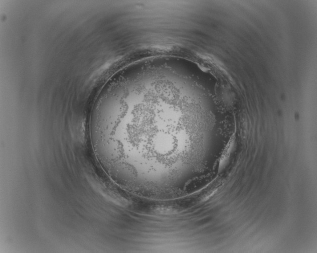 X0000069360596200605192100