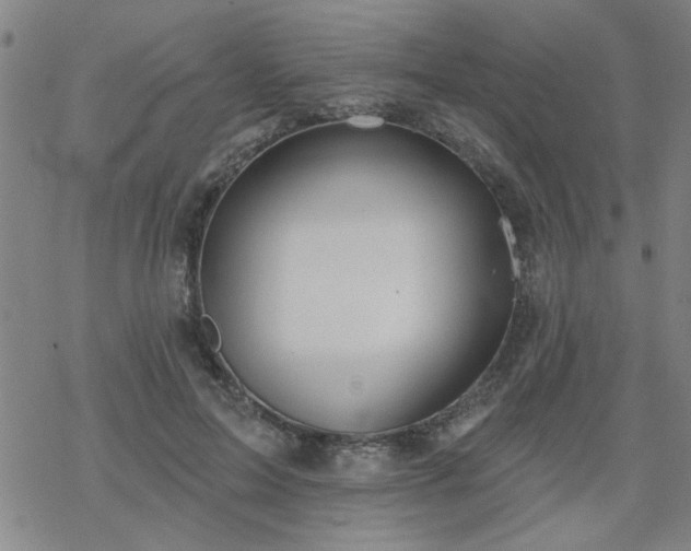 X0000069360599200605192100