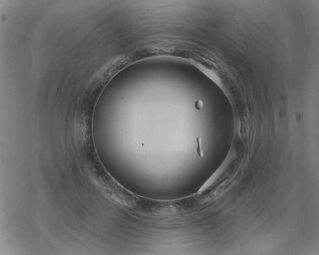 X0000069360600200605192100