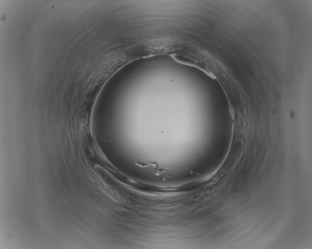 X0000069360601200605192100