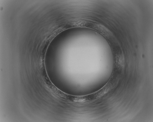 X0000069360602200605192100