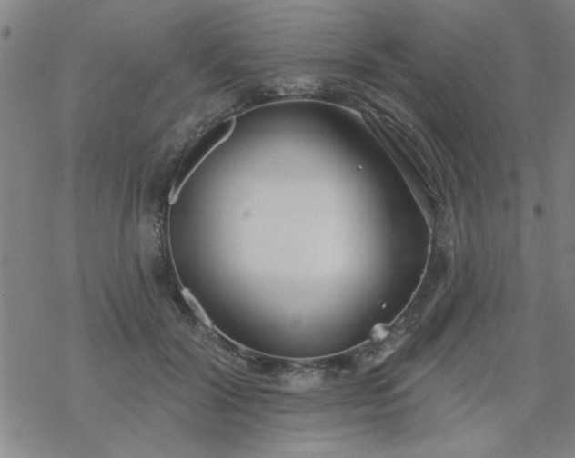 X0000069360604200605192100