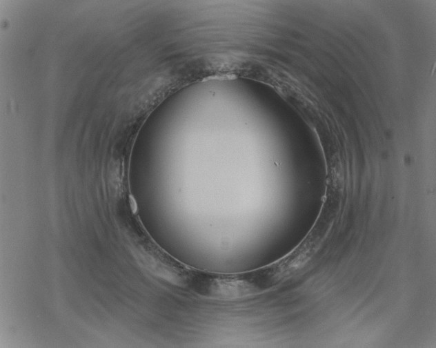 X0000069360605200605192100