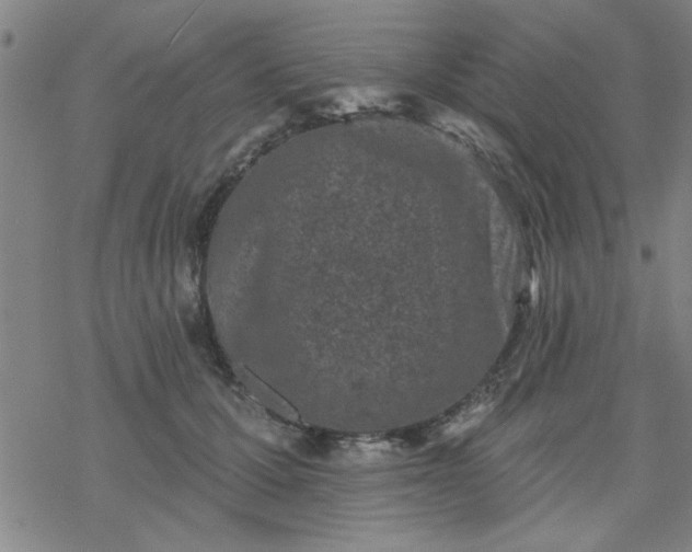 X0000069360607200605192100