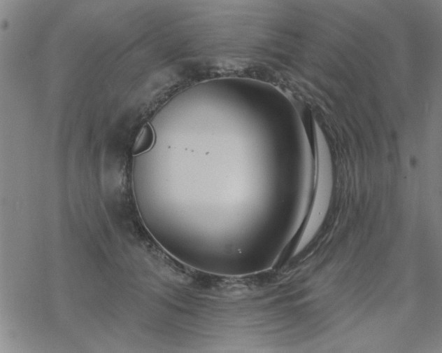 X0000069360608200605192100