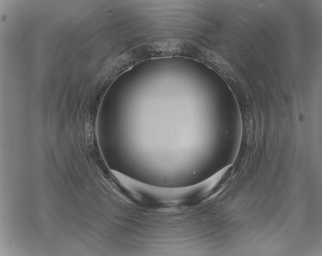 X0000069360609200605192100