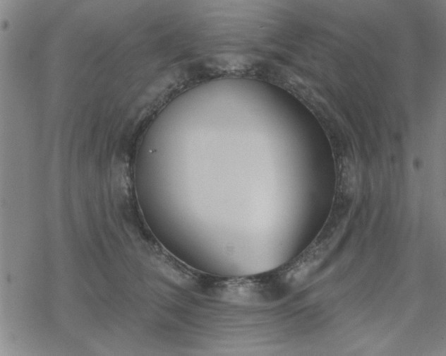 X0000069360612200605192100