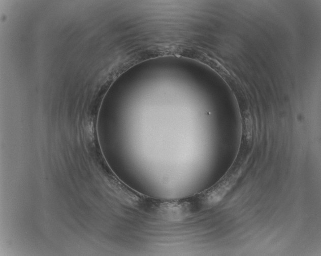 X0000069360613200605192100