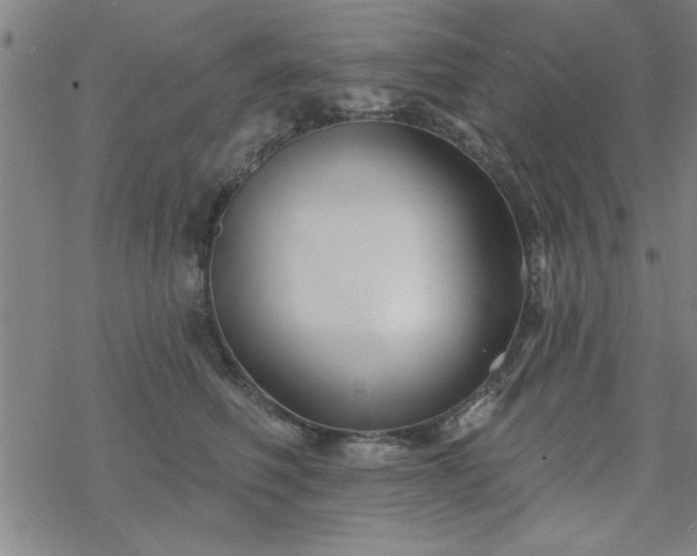 X0000069360614200605192100