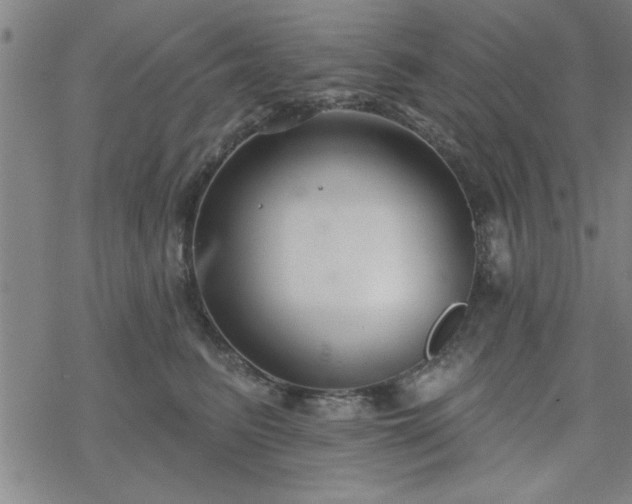 X0000069360615200605192100